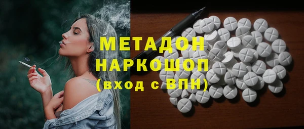индика Аркадак