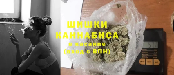 индика Аркадак