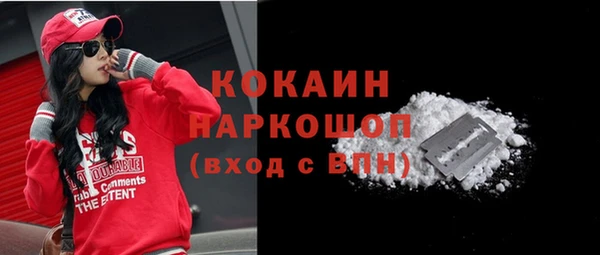 индика Аркадак