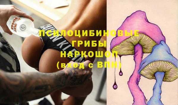 гашик Алагир
