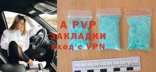 индика Аркадак
