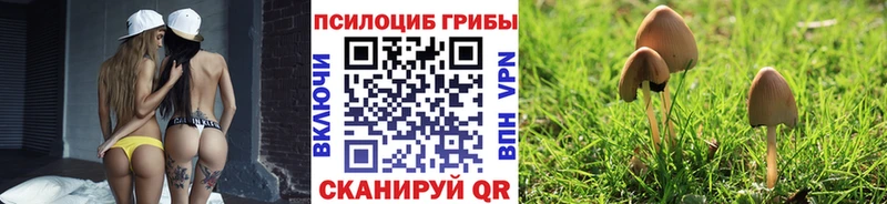 где продают наркотики  Балабаново  Псилоцибиновые грибы Cubensis 